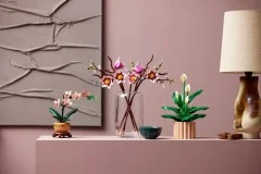 Magnolia Branches - View 2