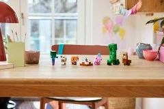 Baby Pig's Birthday Celebration - View 5