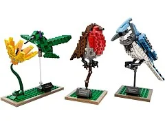 Birds - View 3