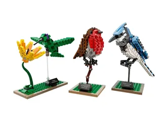 LEGO 21301-1 Birds — 580 pieces, LEGO Ideas and CUUSOO theme