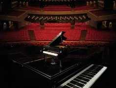 Grand Piano - View 8