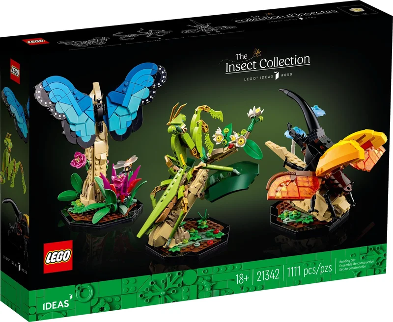 The Insect Collection - View 2