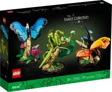 The Insect Collection - View 2