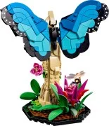 The Insect Collection - View 3