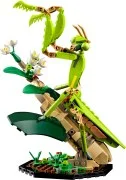 The Insect Collection - View 4