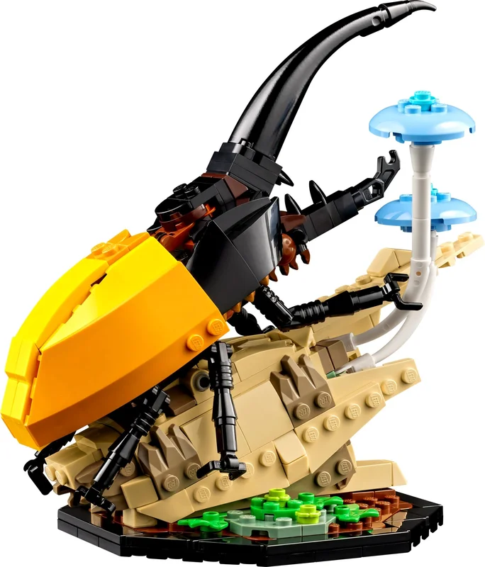 The Insect Collection - View 5