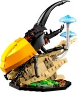 The Insect Collection - View 5