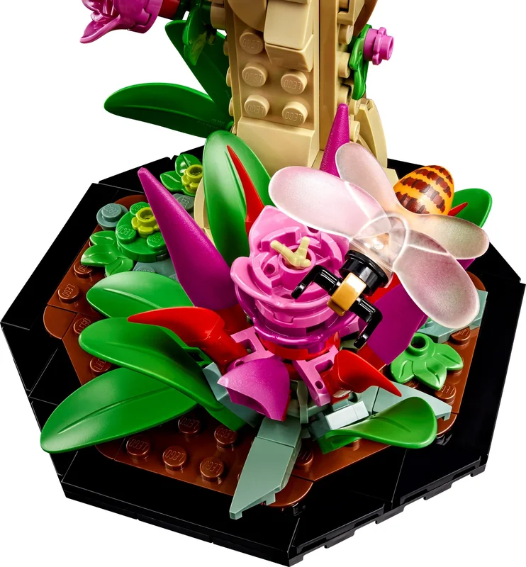 The Insect Collection - View 6