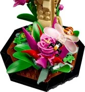 The Insect Collection - View 6