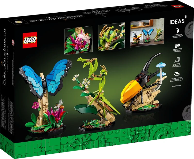 The Insect Collection - View 7