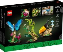The Insect Collection - View 7