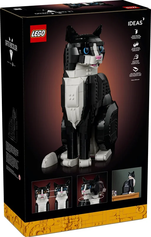 Tuxedo Cat - View 2