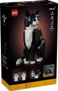 Tuxedo Cat - View 2