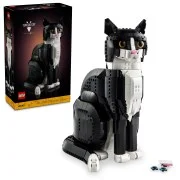 Tuxedo Cat - View 3
