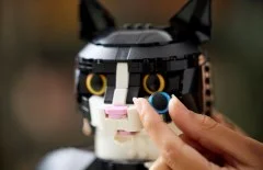 Tuxedo Cat - View 4