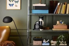 Tuxedo Cat - View 6