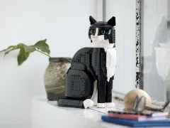 Tuxedo Cat - View 7