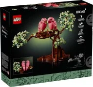 Love Birds - View 2