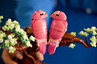 Love Birds - View 4