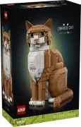 Orange Cat - View 2