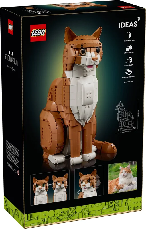 Orange Cat - View 3