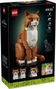 Orange Cat - View 3