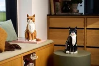Orange Cat - View 4
