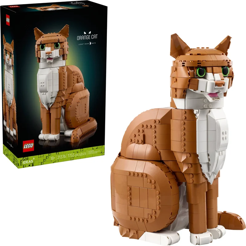 Orange Cat - View 5