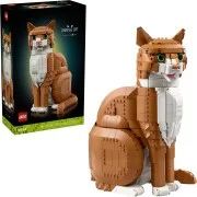 Orange Cat - View 5