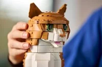 Orange Cat - View 6