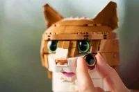 Orange Cat - View 7