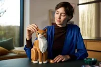 Orange Cat - View 9
