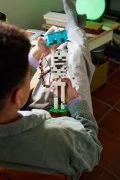 The Skeleton - View 6