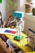 The Skeleton - View 8