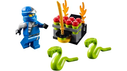 Jumping Snakes - LEGO Set 30085-1 - 2012