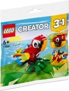 Tropical Parrot - View 2