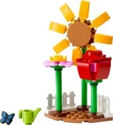 Flower Garden - View 3