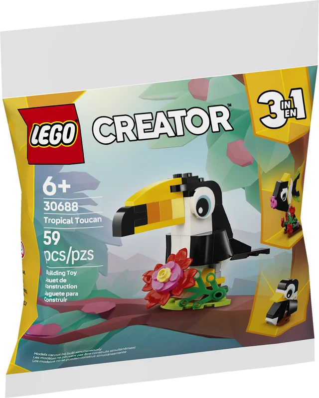 Tropical Toucan - View 3