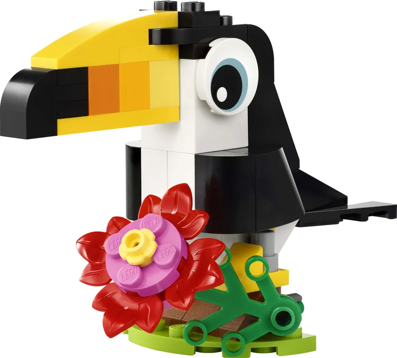 Tropical Toucan - View 4