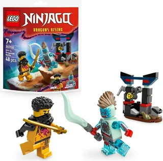 LEGO 30700-1 Arin vs. Dragonian Battle — 48 pieces, Ninjago theme