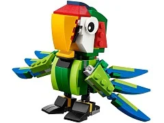 Rainforest Animals - View 3