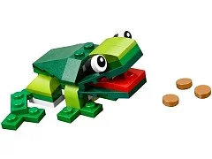 Rainforest Animals - View 4