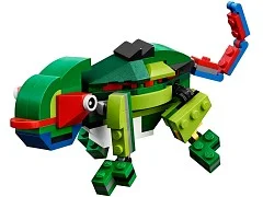 Rainforest Animals - View 5