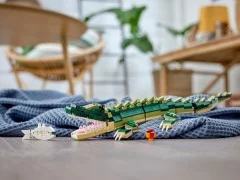 Crocodile - View 7