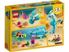 Dolphin and Turtle - View 6
