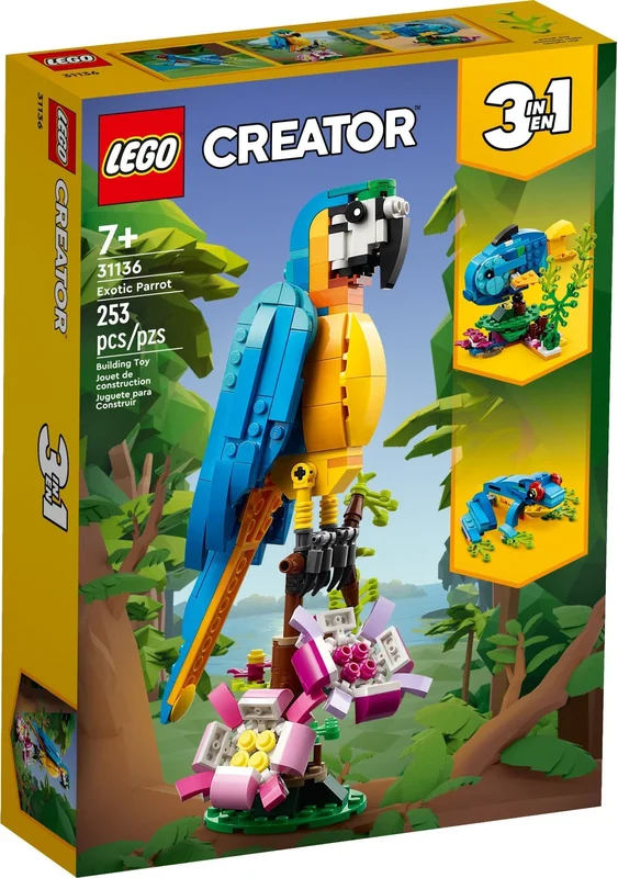 Exotic Parrot - View 2