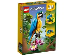 Exotic Parrot - View 2