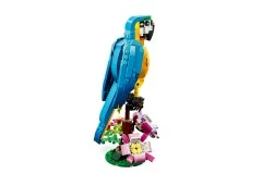 Exotic Parrot - View 4