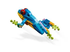 Exotic Parrot - View 6
