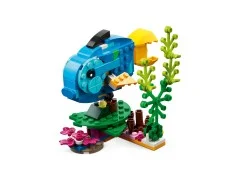 Exotic Parrot - View 7